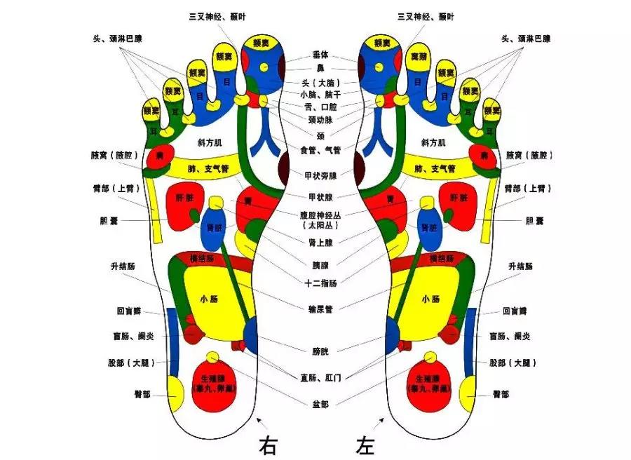 足浴的保健原理.jpeg